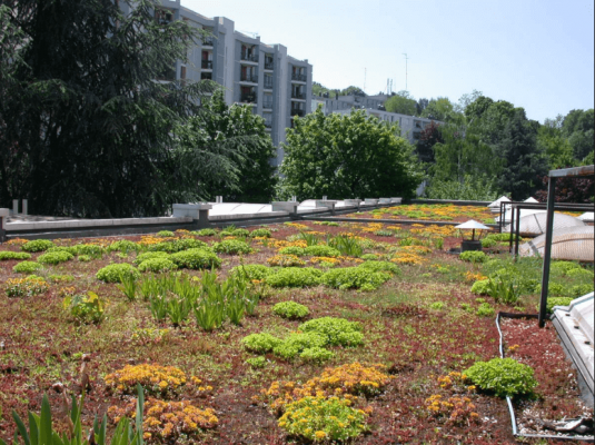 Rueil Malmaison (92500)